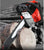 Chainsaw 62cc – 20