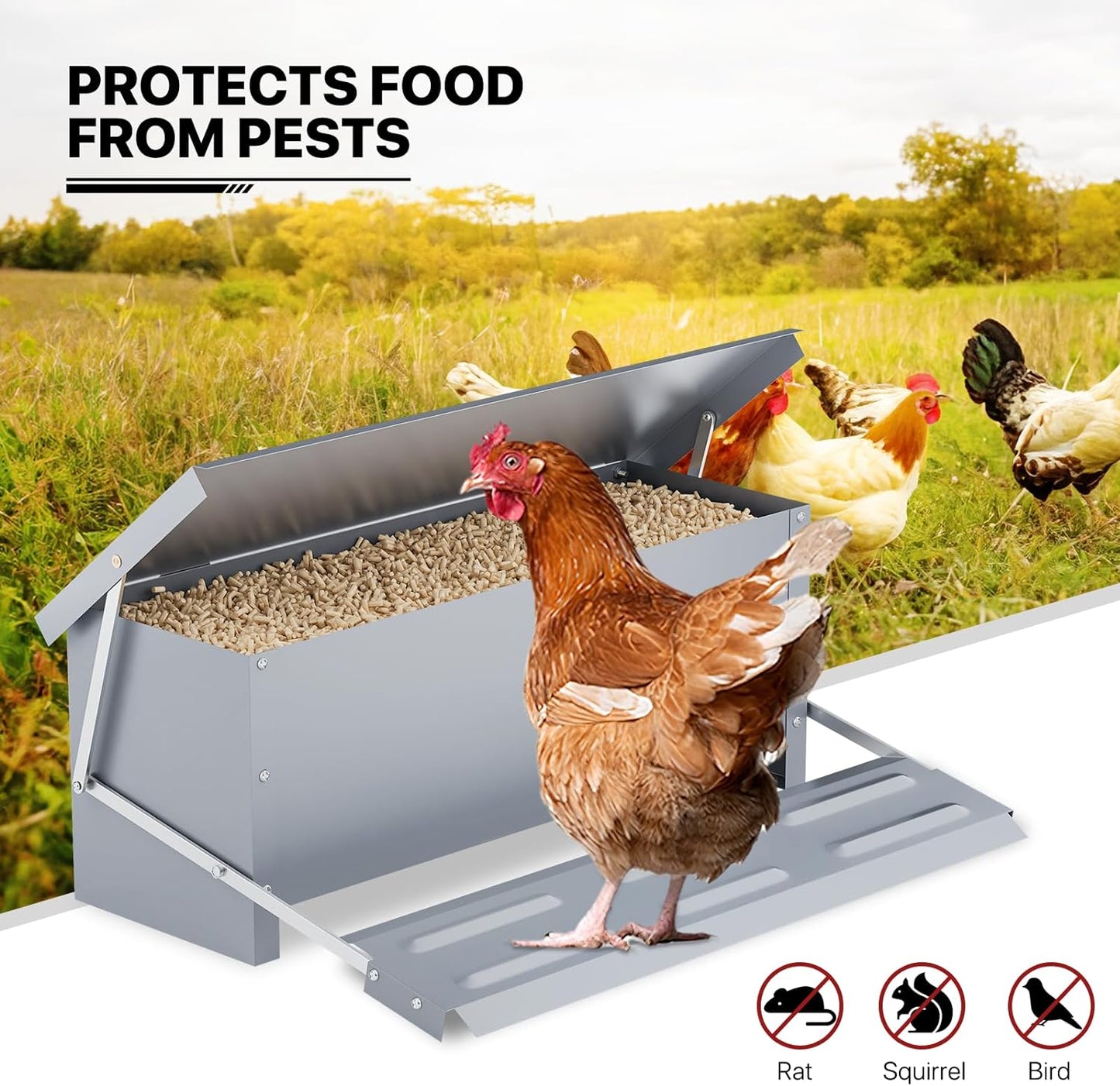 Chicken Feeder, Automatic Chicken Feeder