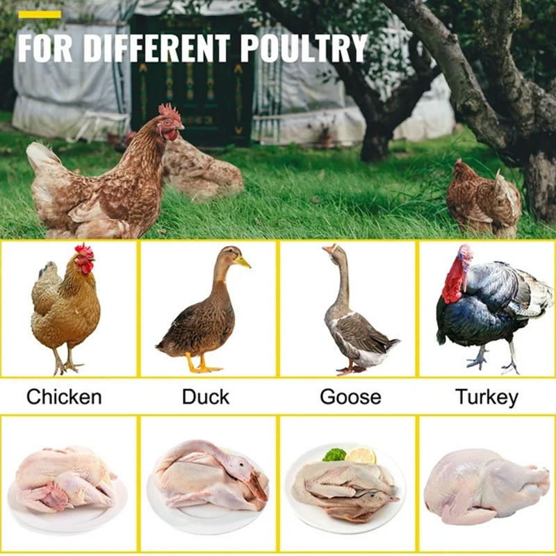 Chicken Plucker Drill Attachment - 24 Fingers Stainless Steel Feather Plucker for Efficient De-feathering