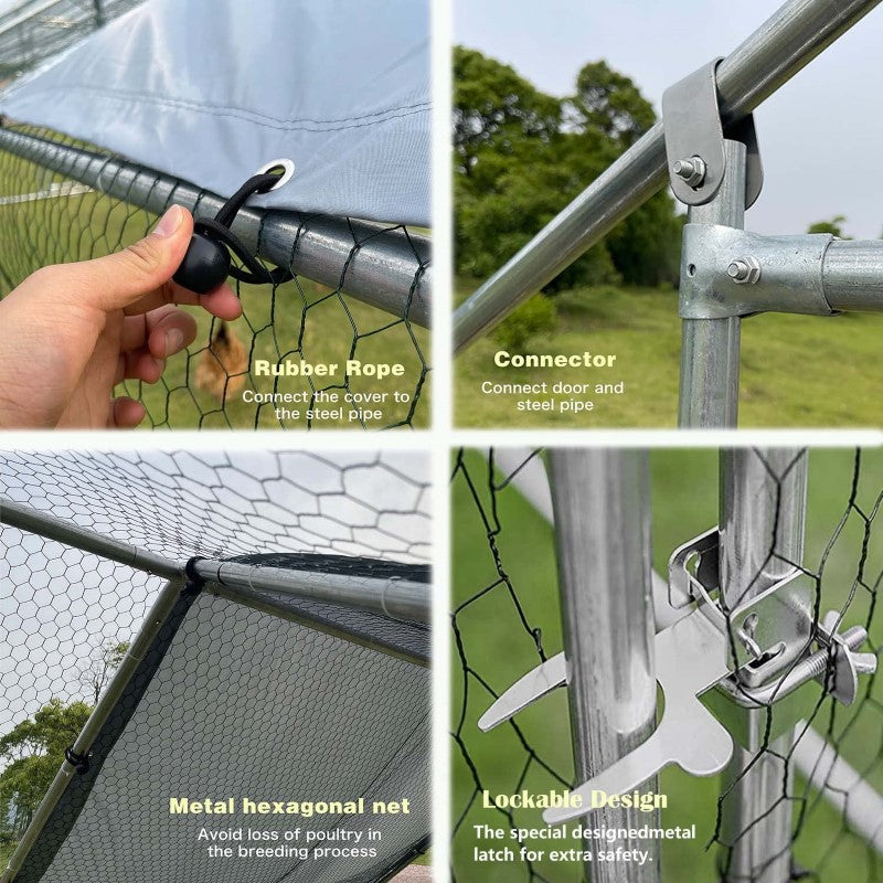 Outdoor Chicken Coop