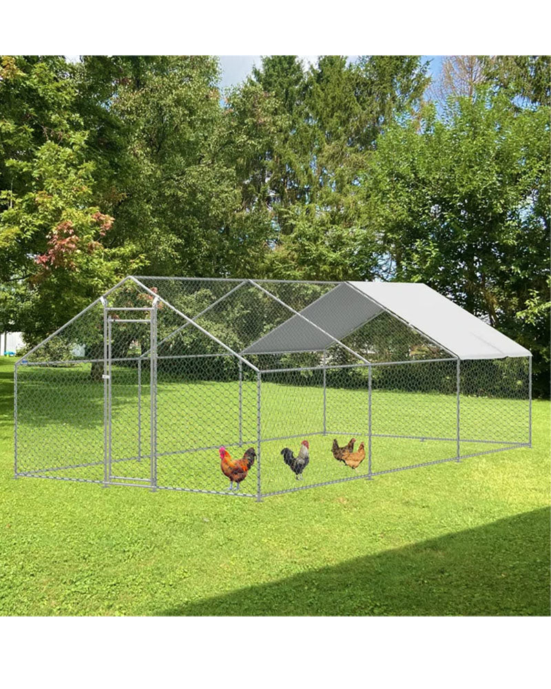 Outdoor Chicken Coop