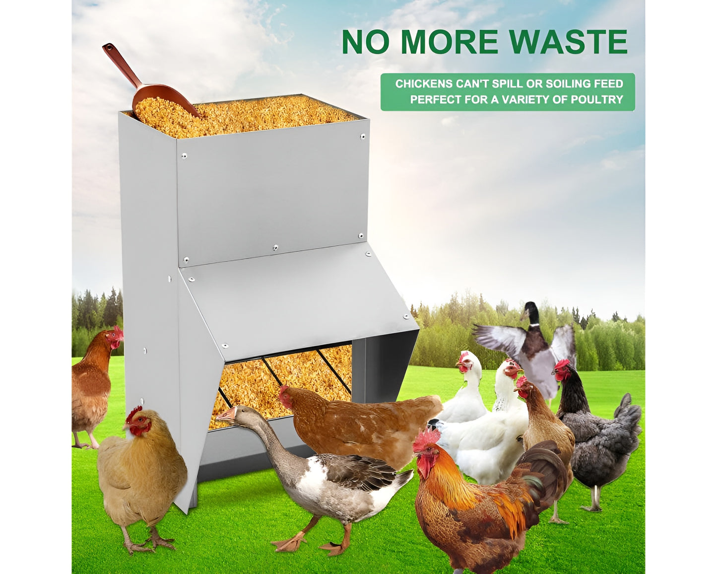Chicken Feeder 3KG