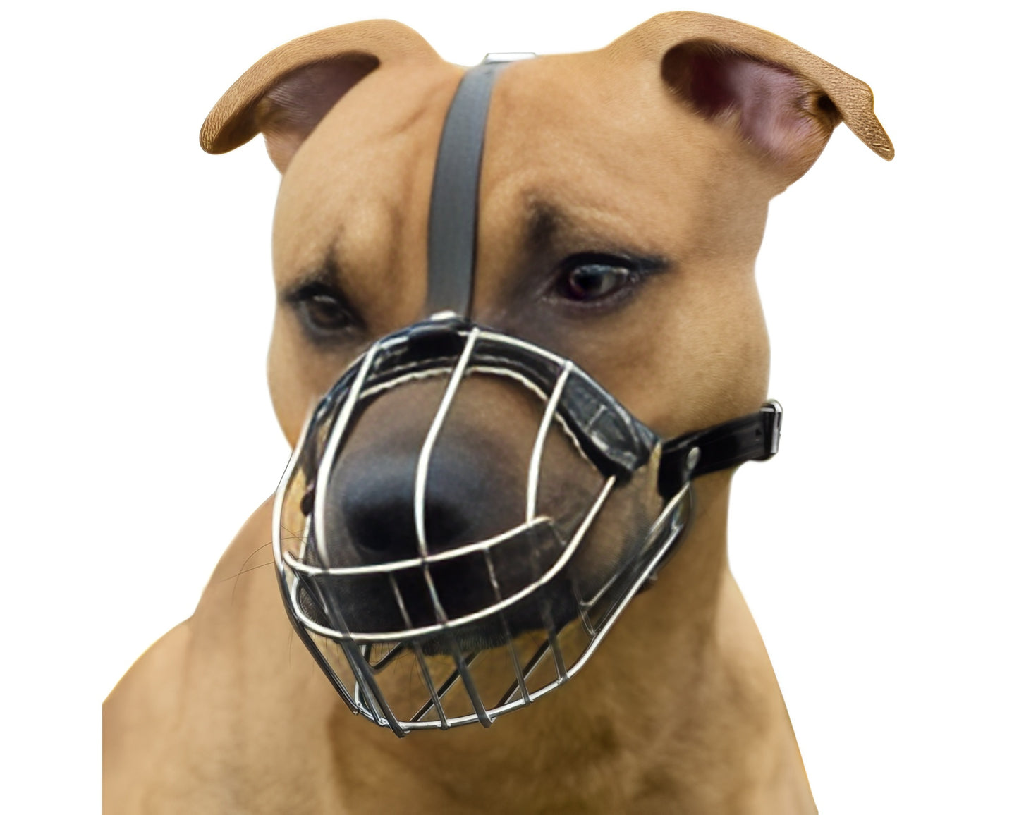 Adjustable Dog Muzzle