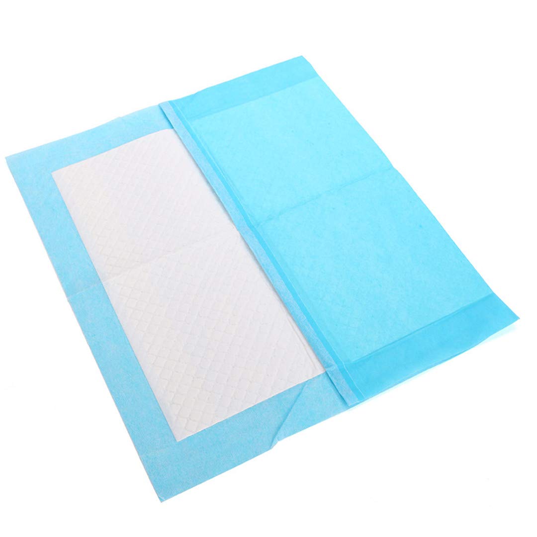 Pet Training Pads Toilet Pee Wee Mat – 80 Pack for Easy Puppy Training
