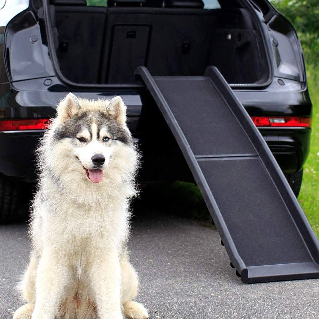 Dog Ramp for Car - Portable Pet Stairs
