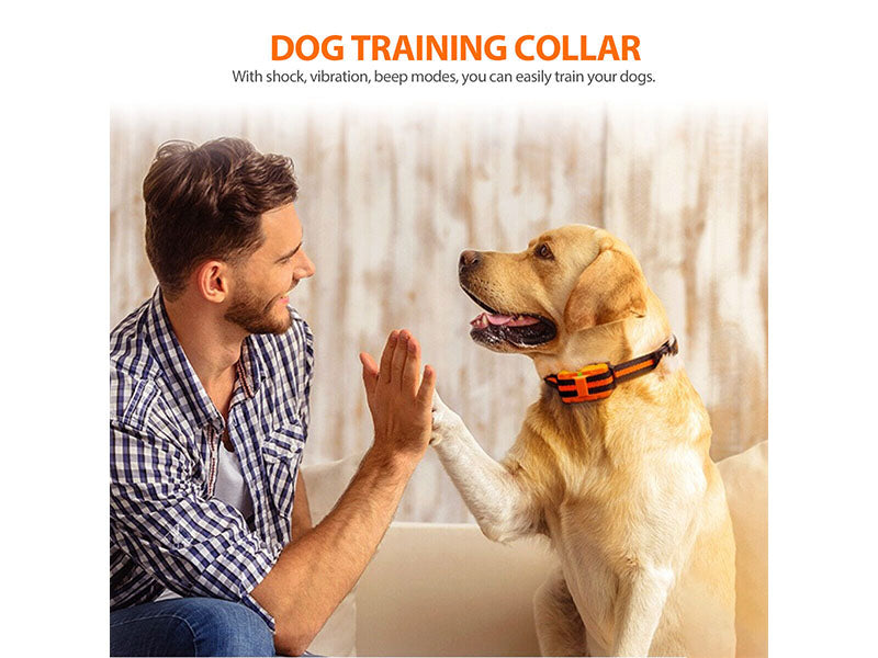 Dog Training Collar Rechargeable Remote Control Electric Pet Shock Vibration