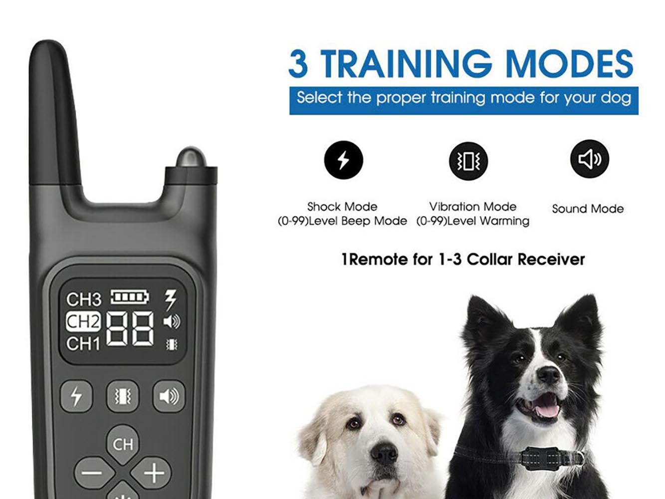 Dog Training Collar