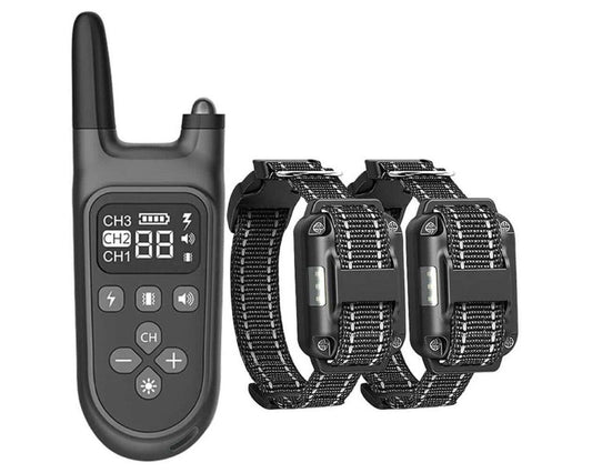 Dog Training Collar