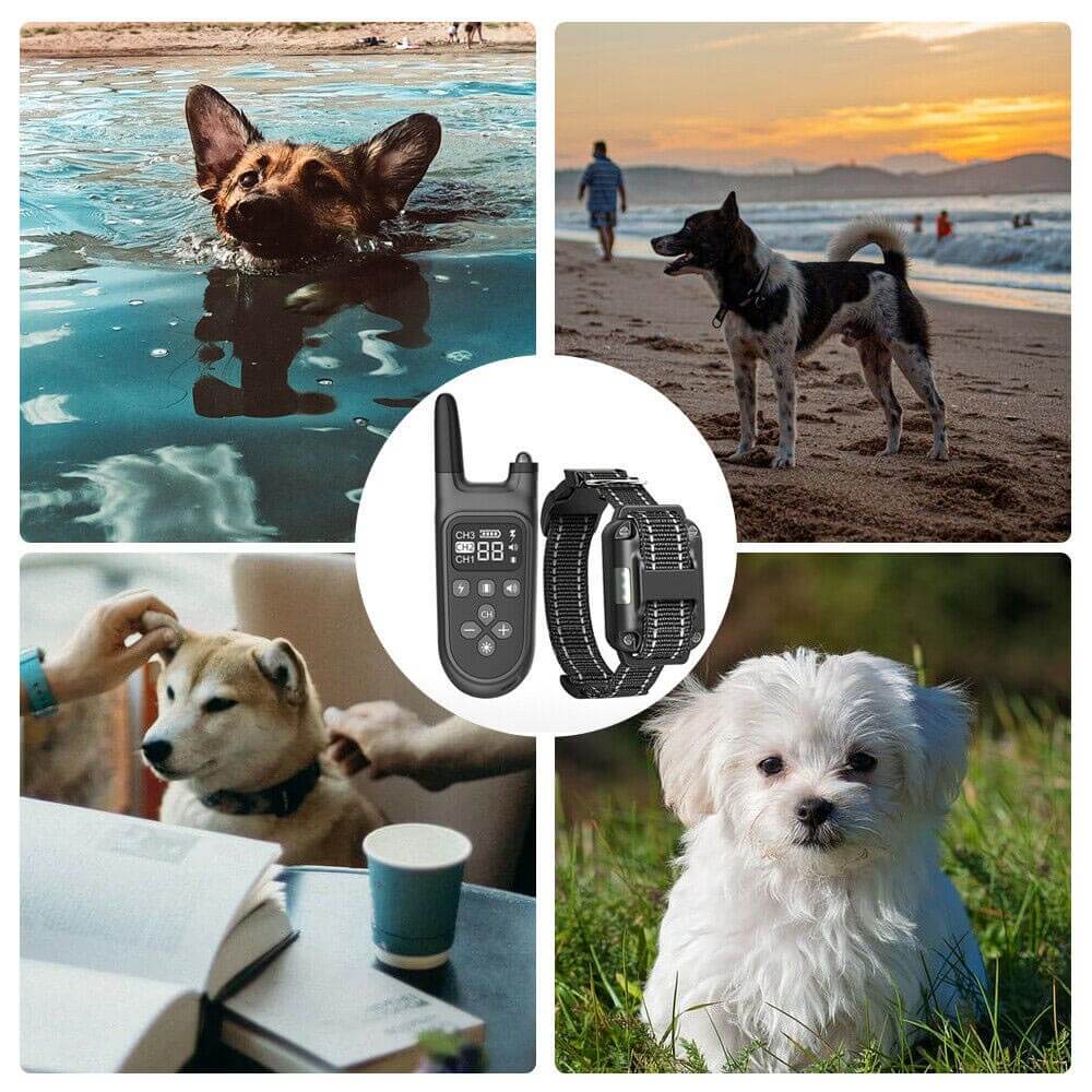 Dog Training Collar, collar for dog