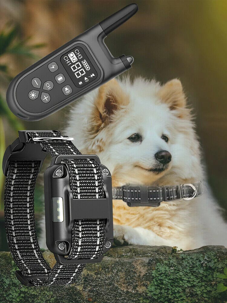 Dog Training Collar, collar for dog