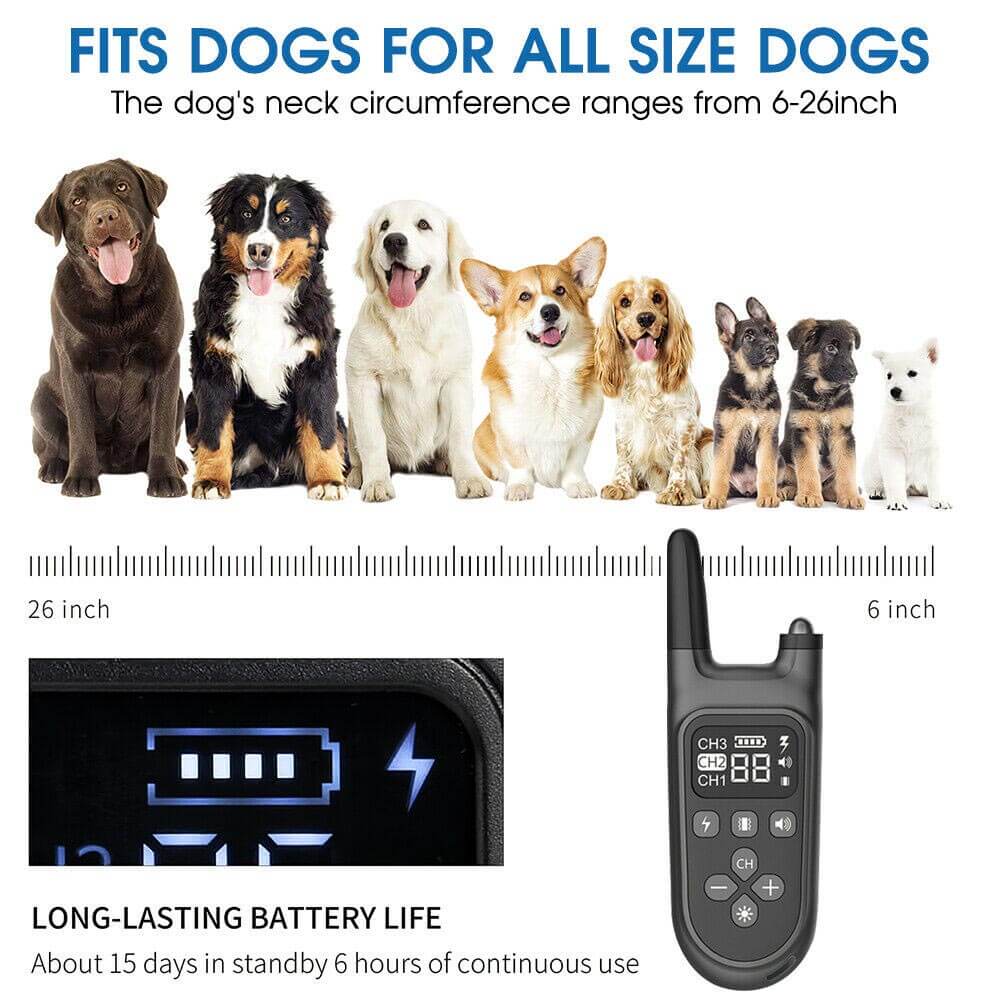 Dog Training Collar, collar for dog