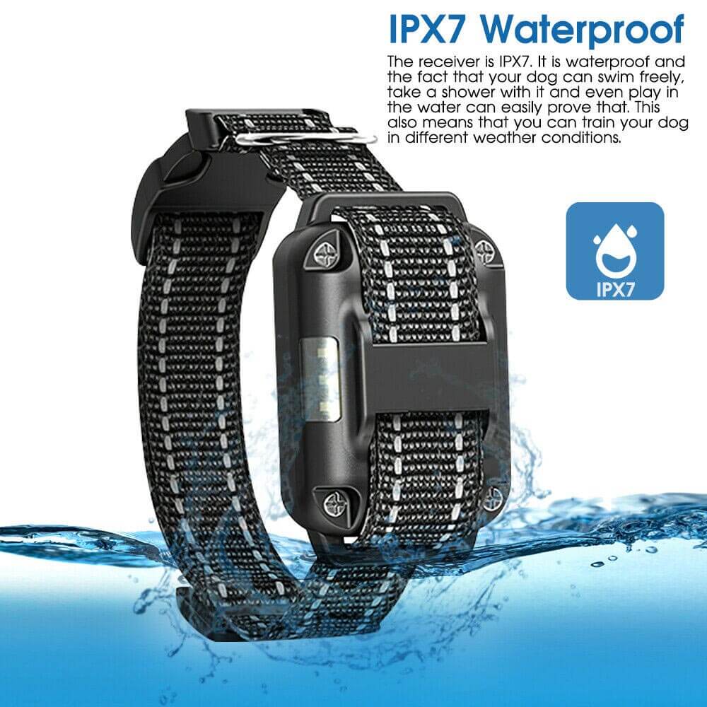 Dog Training Collar, collar for dog