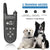Dog Training Collar, collar for dog