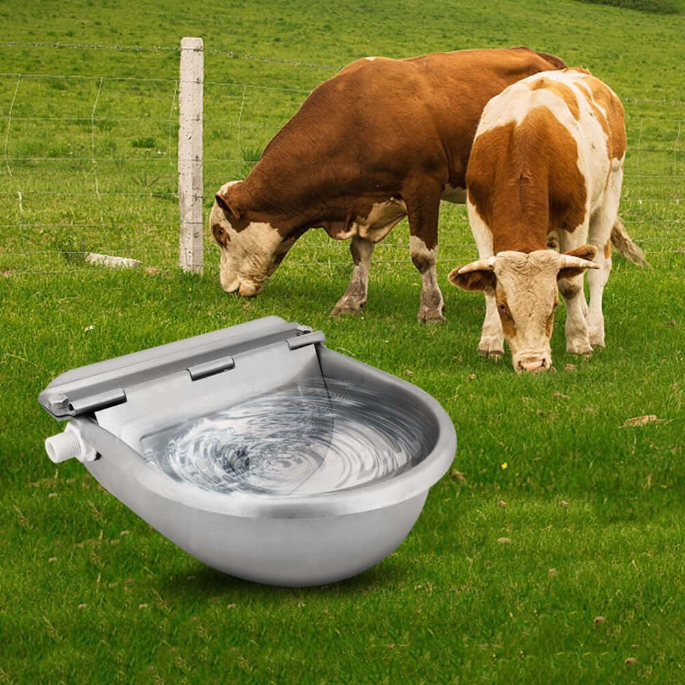 Water Trough Bowl Automatic Drinking