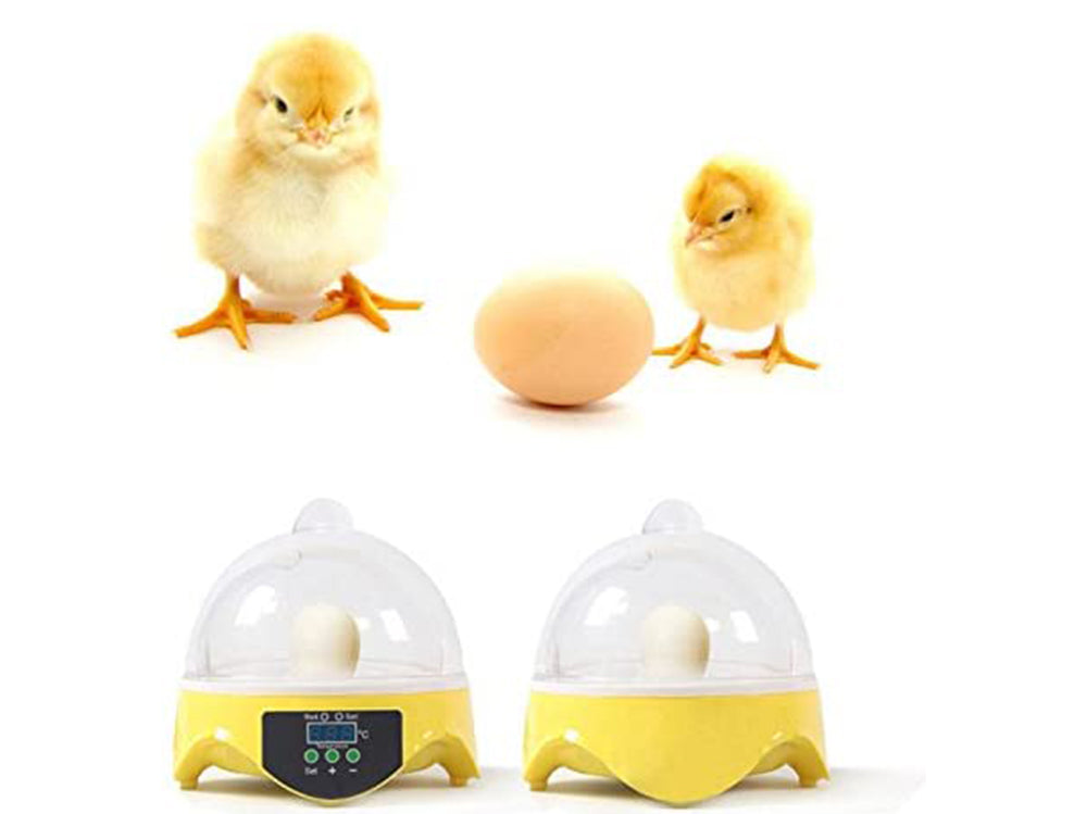 Egg Incubator Automatic 7 Eggs