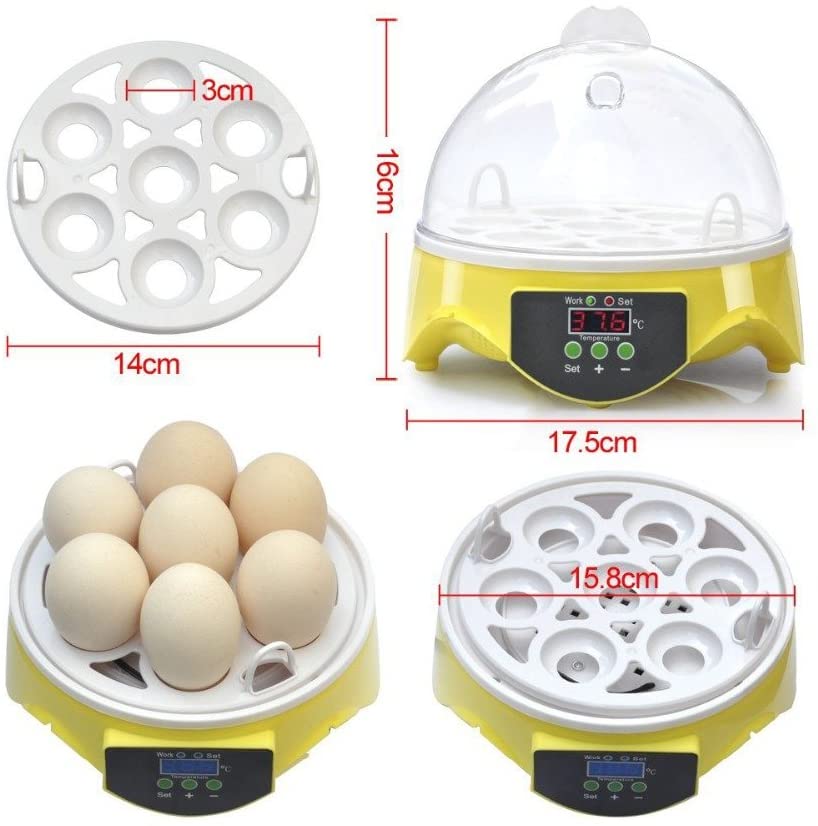 Egg Incubator Automatic 7 Eggs