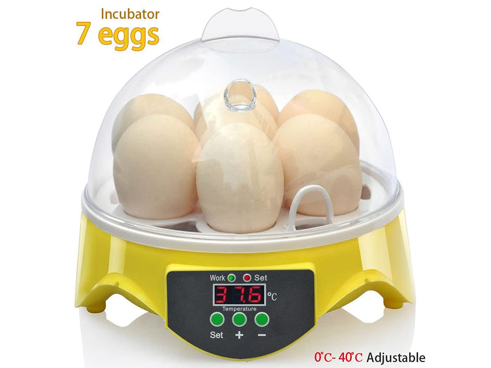 Egg Incubator Automatic 7 Eggs