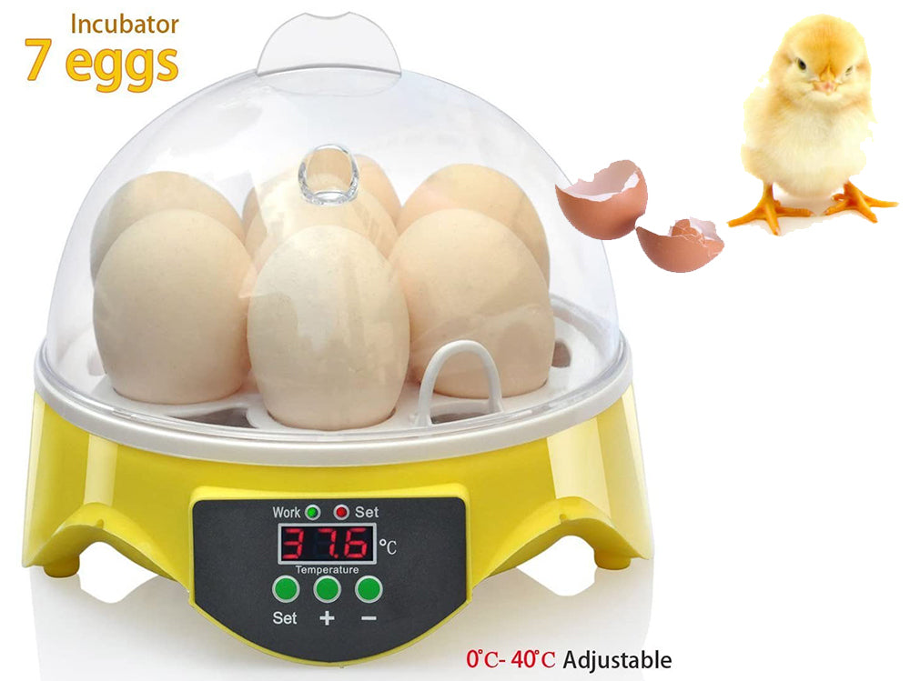 Egg Incubator Automatic 7 Eggs