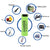 18650 Rechargeable Battery 12pcs