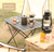Camping Picnic Folding Table with Storage Bag