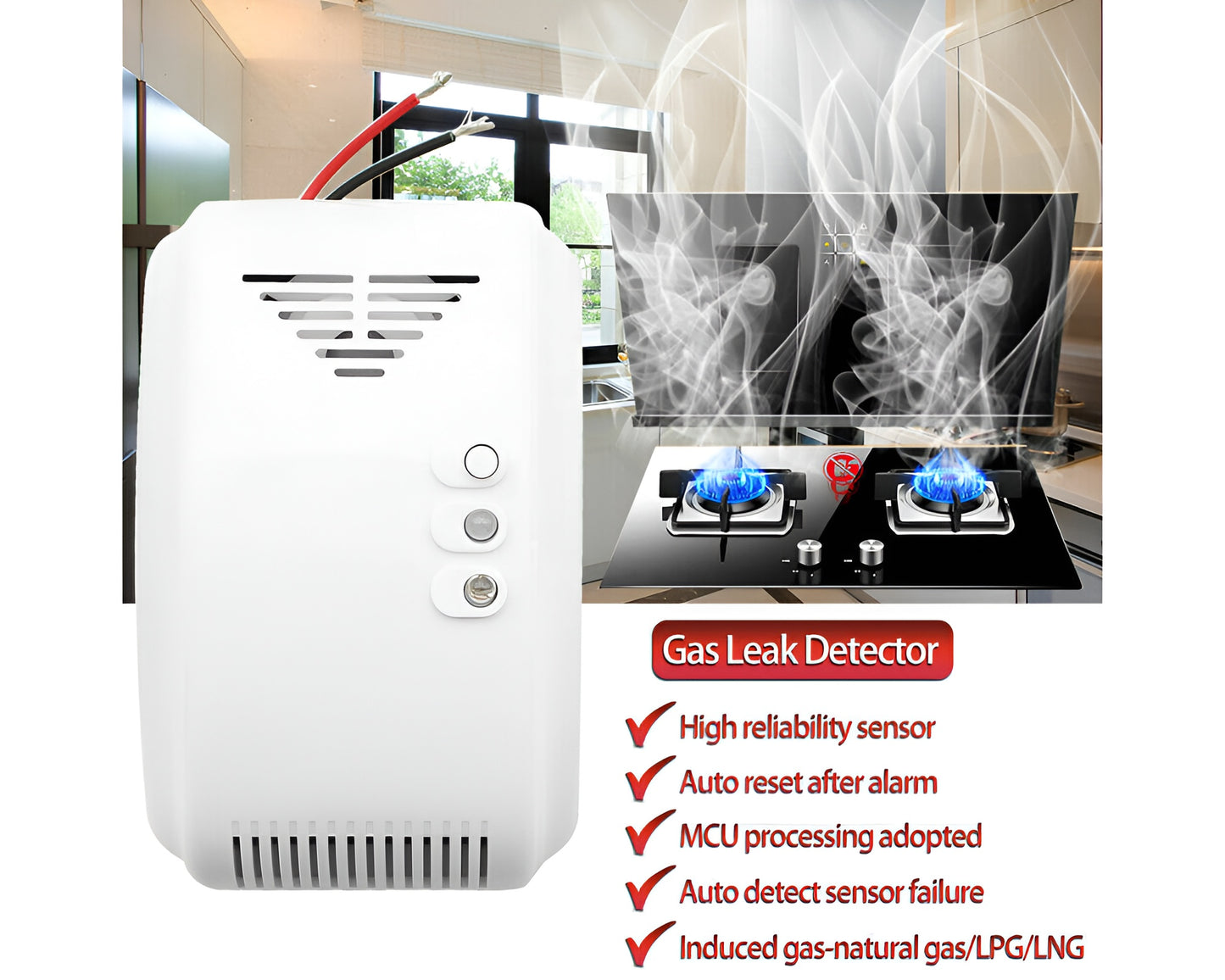 Gas Leakage Detector for Natural Gas