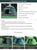 Outdoor Pop-Up Camping Tent – Automatic Waterproof Family Tent for 3-4 People