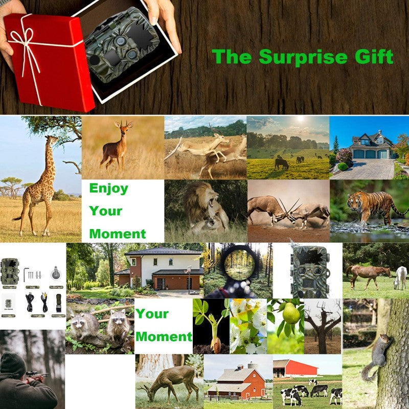 Hunting Trail Camera 4K