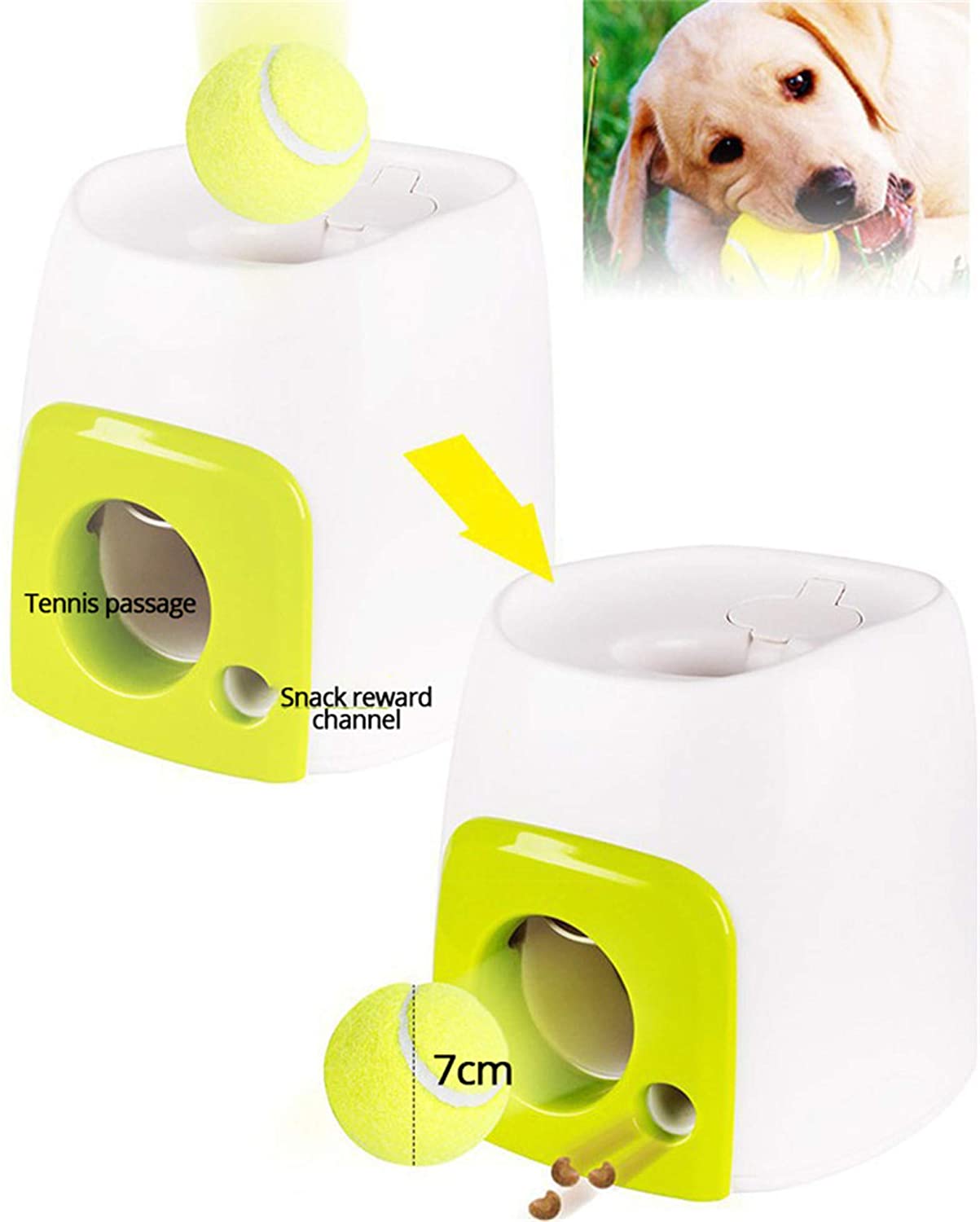 Creative Dog Pet Toys Tennis