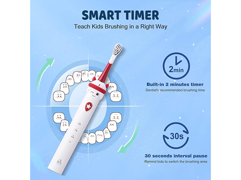 Rechargeable Sonic Toothbrush with Timer