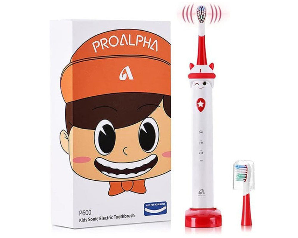 Rechargeable Sonic Toothbrush with Timer