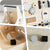 Activity Walker Kids, Kids Activity Centre Push Toys