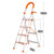 Extension Ladder