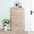 Shoe Cabinet Storage Rack