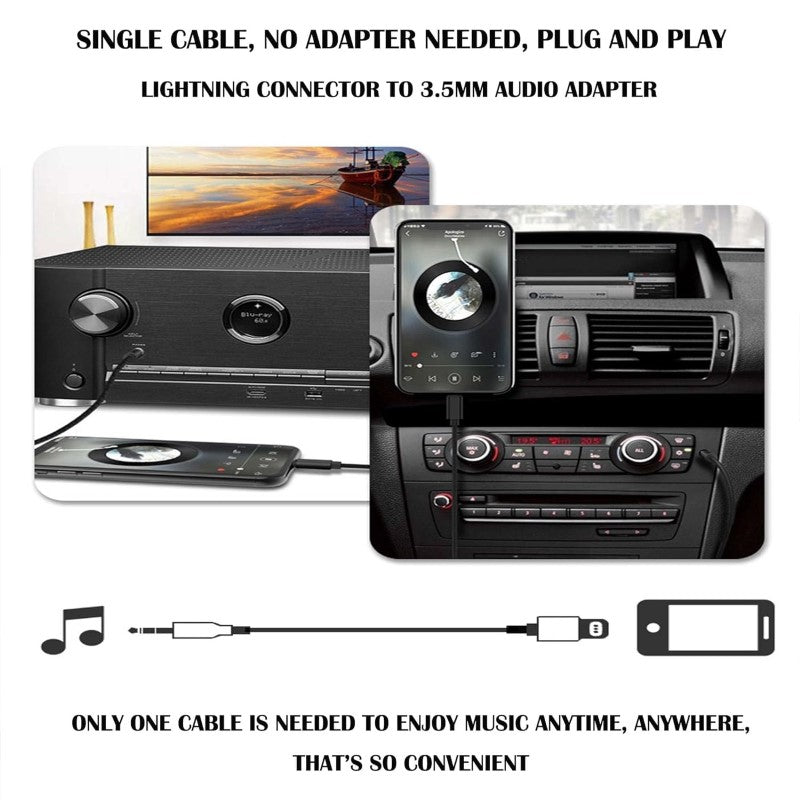 Lightning to AUX Cable Black