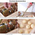 Manual Nutcracker Nut Peeling Machine Heavy Duty Nut Tongs Pecan Nut Cracker Opener Walnuts Tool for Walnuts Chestnuts Pecans Hazelnuts Almonds, Best Gifts