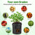 Fabric Pot Planter Grow Bags