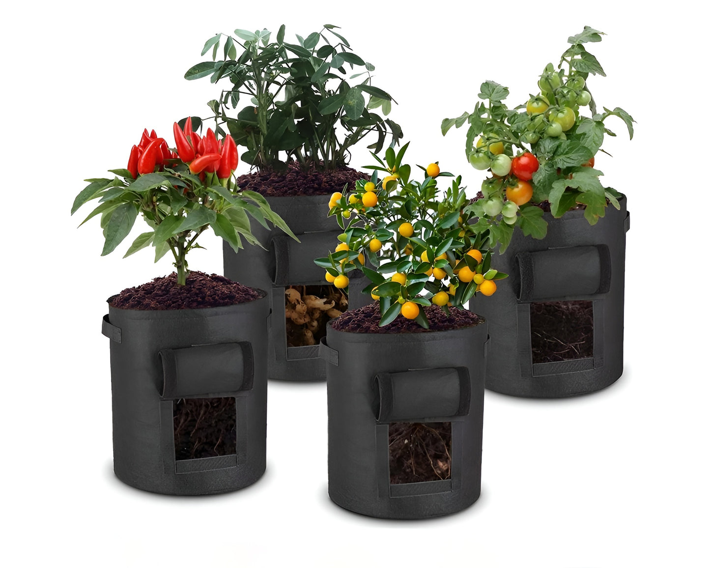Fabric Pot Planter Grow Bags