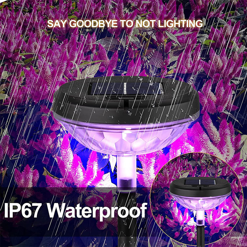 Pathway Outdoor Solar Lights 4Packs Decorative Garden Lights