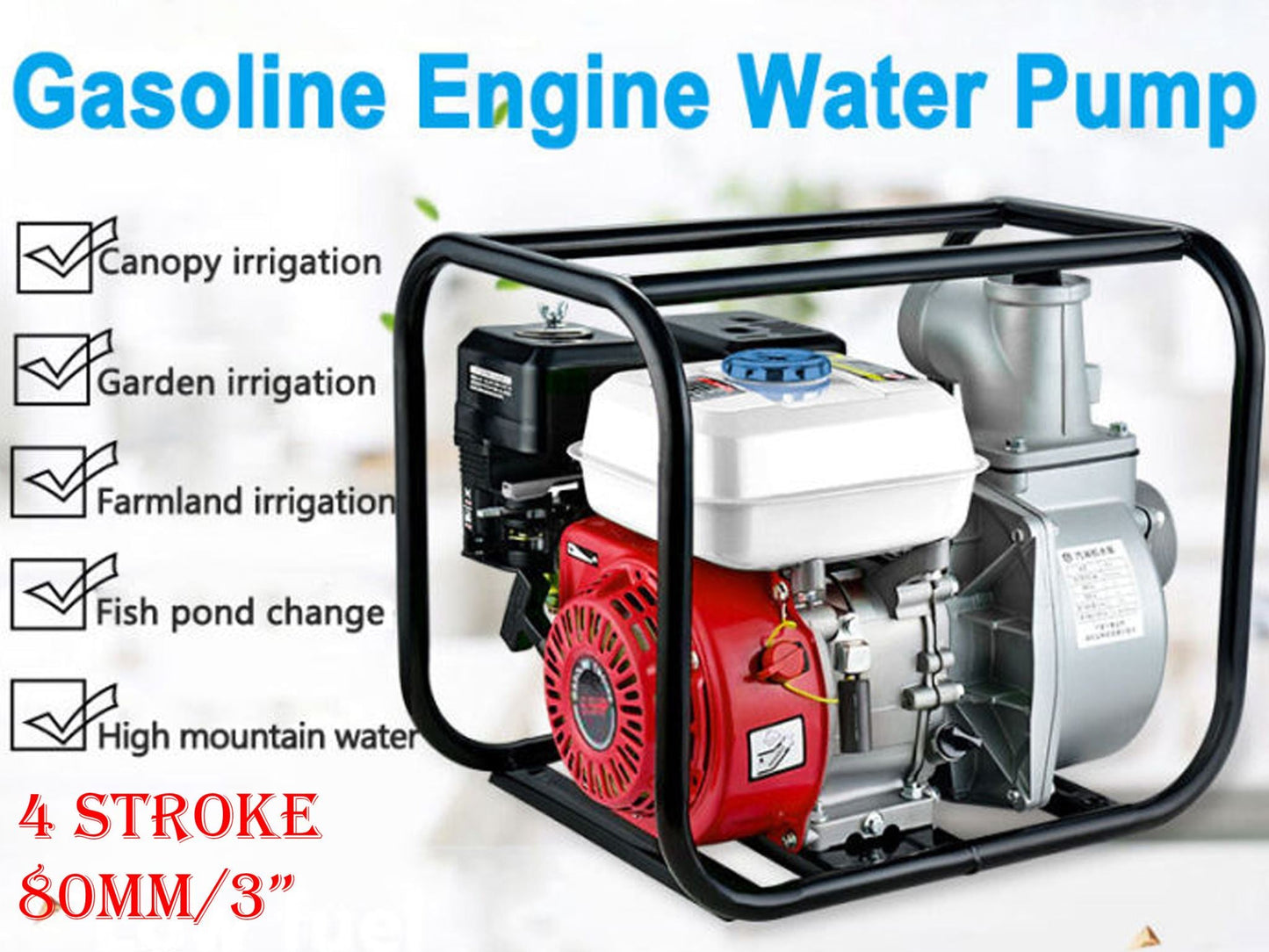 Gasoline Petrol Water Pump