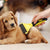 Dematting Tool for Dogs Comb Grooming Tool Mat Remover for Cats Dogs