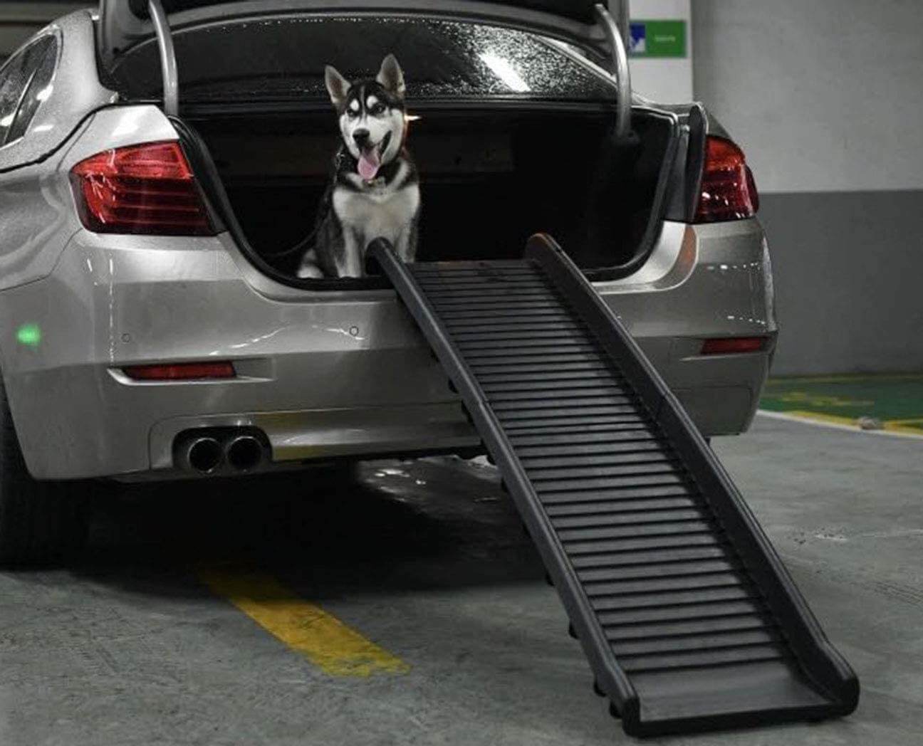 Dog Ramp, Pet Ramp