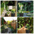 Plant Grow Bag 40x30cm 4 Pack, vegetable/Flower/Plant Growing Bags