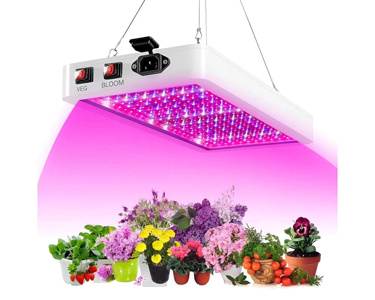 1000W LED Grow Light Full Spectrum Indoor Plant Lamp