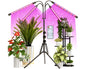 LED Grow Light with Timer For Plants