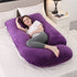 Dream Pregnancy Pillow J Shaped Full Body Pillow with Velvet Cover, 60 inches Maternity Pillow for Pregnant Women Back, Legs and Belly Suppo