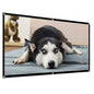 Projector Screen