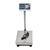 Price Pricing Scale Digital Scale 300KG