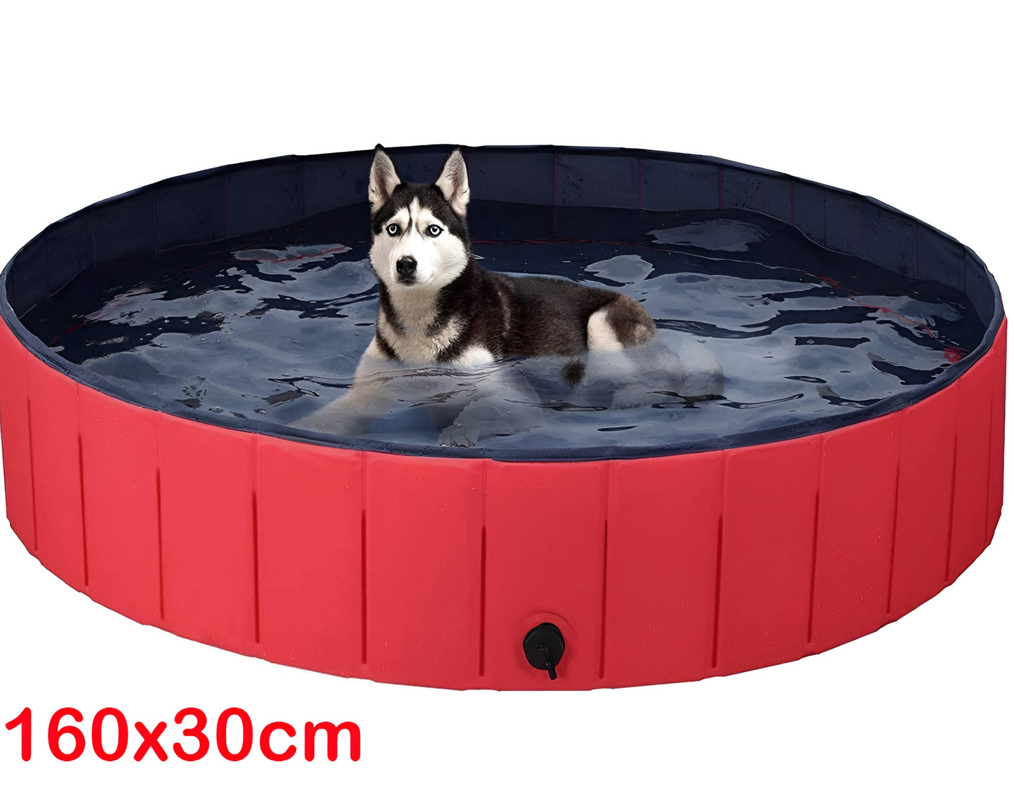 Dog Pet Swimming Pool