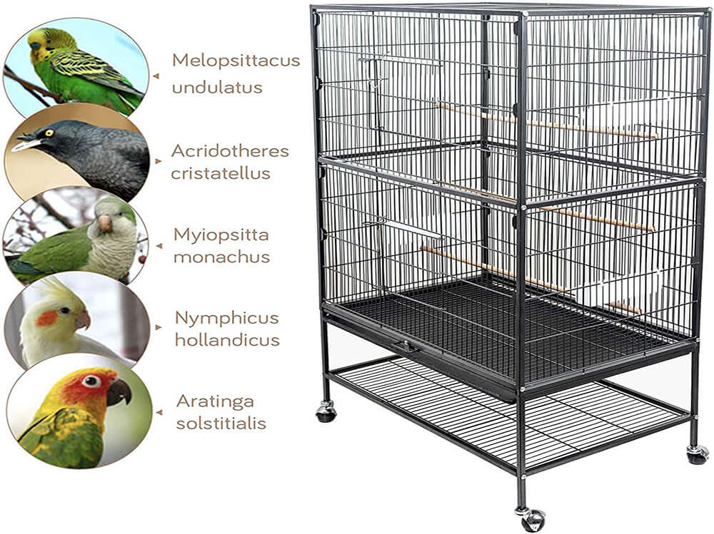 Bird Cage Parrot Aviary Perch Carrier