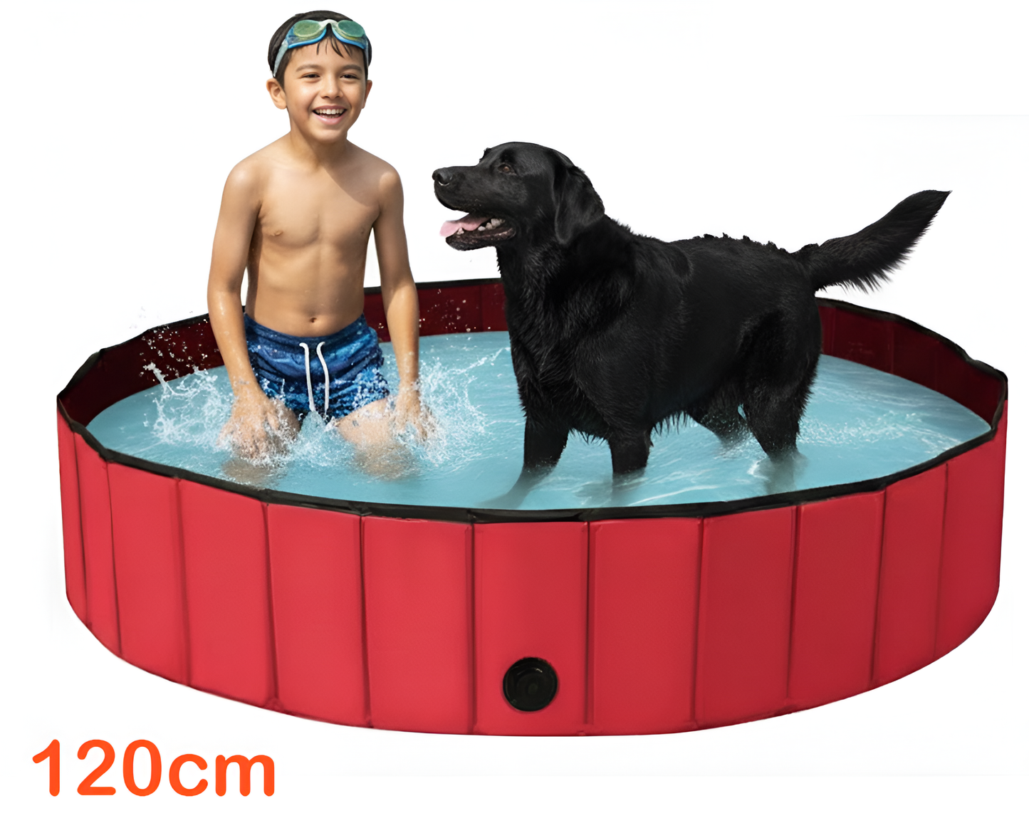 Dog Pet Swimming Pool